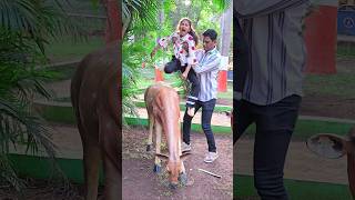 Animal's 🦏 🦌 🐅 Prank �...
