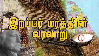 இறப்பர் மரத்தின் வரலாறு| History of Rubber tree|READ TEA