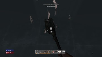 For bug report - Snowing Inside