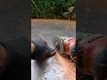 awesome creative idea #sikll #stickwelding #creativeideas