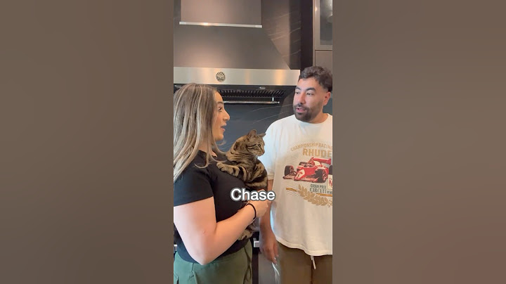 WOW THE BETRAYAL!! #viralvideo #cat #funny #youtubeshorts #youtube #fyp #pets #family #love