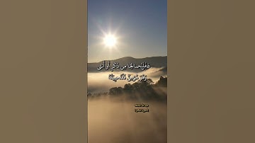 سورة النحل ـ من عمل صالحا من ذكر أو أنثى وهو مؤمن فلنحيينه حياة طيبة