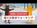 猫とお散歩🐾10分1000歩ウォーキング😸
