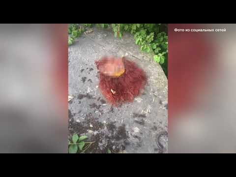 Канибалы из Краснодара
