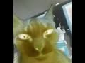 ese telefono parece carpintero pero en 4k