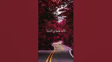 سورة الأنعام(آية ١٢٥) #قرآن #قران_كريم #يوم_الاثنين #quran