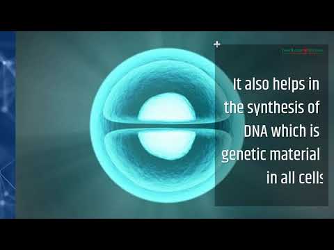 Vitamin And Calcium Calcium Test Vitamin Blood Test