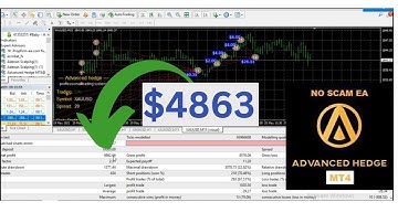 Adavance hedge MT4 EA | Hedging EA MT4