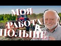 МОЯ РАБОТА ВПОЛЬШЕ/ КАКИЕ УСЛОВИЯ? ЧТО НАДО ДЕЛАТЬ