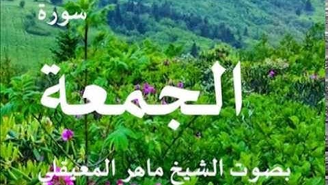 سورة الجمعة بصوت الشيخ / ماهر المعيقلي 62