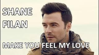 Shane Filan - Make You Feel My Love (Lyrics) HD