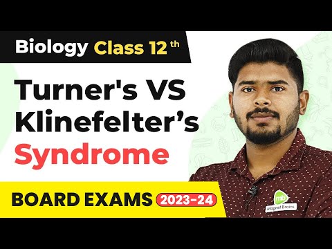 Turner&rsquo;s Syndrome and Klinefelter&rsquo;s Syndrome (Difference) - Principles of Inheritance and Variation