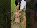 My Favorite Country Outdoor Gully To Catch Fish And Shrimp On Vacation MyCountryLife OriginalVideo My Favorite Country Outdoor Gully To Catch Fish And Shrimp On Vacation MyCountryLife OriginalVideo