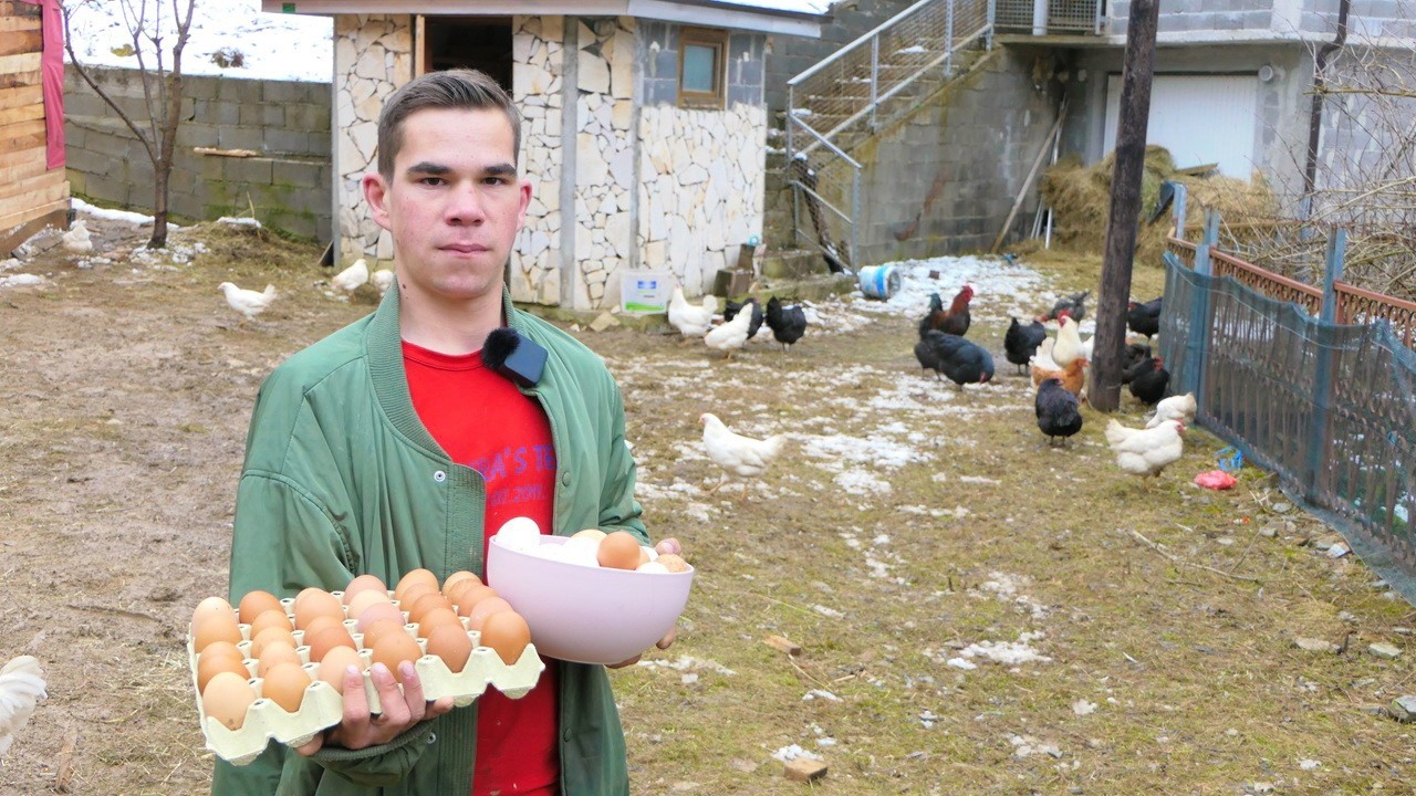 Stigla prva jaja, Zaim oduševljen, napravio kokošinjac, dobio još 2 ovce