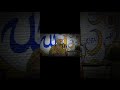 عميد دوله المداحين الشيخ ياسين التهامي مدح في حب رسول الله