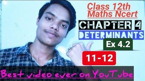 Class12th Maths Ncert chapter 4 Determinants Ex 4.2 solution 11-12 (easy and step by step explained)