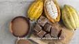 The Intriguing History of Chocolate ile ilgili video