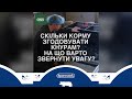 СКІЛЬКИ корму З&#39;ЇДАЄ СВИНЯ | скільки корму потрібно кнурам, щоб тримати їх в оптимальній кондиції?