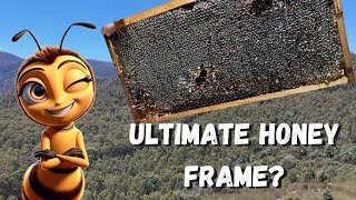 Expert Tips for Choosing the Best Honey Frames