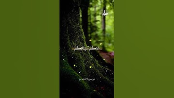 {سورة التحريم  - الآية 8}🔊 تلاوة القارئ علي نمير
