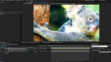 1 Minute Tutorial: Efficient rotoscoping with Stabilized Precomps