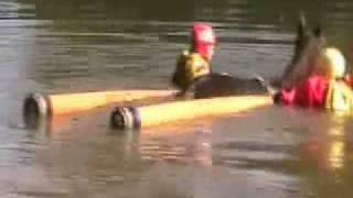 Technical Large Animal Emergency Rescue Course-part 3
