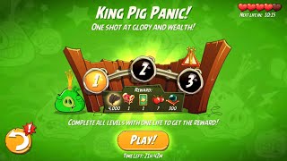 Angry Birds 2-King Pig Panic with BUBBLES | The Dark Gaming
