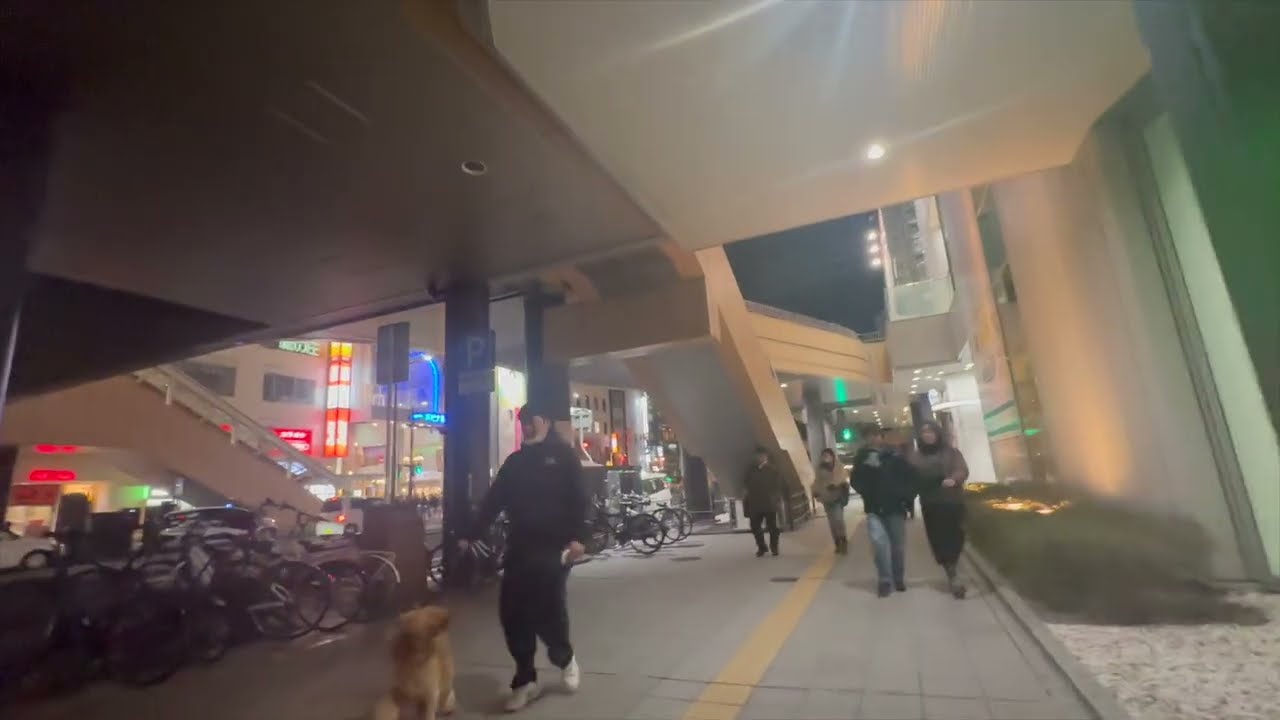 Living in Sendai, Japan January 17, 2026