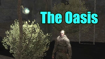 S.T.A.L.K.E.R. : ALL Anomalies Showcased #7 – The Oasis