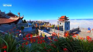 Flowers bloom brilliantly on the way to the top of Fansipan, Sapa 10/2022