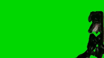 Featured image of post View 15 Cartoon Dog Cartoon Cat Jumpscare Green Screen Gif