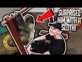 SURPRISING MY ROOMMATE WITH A PET SLOTH!!