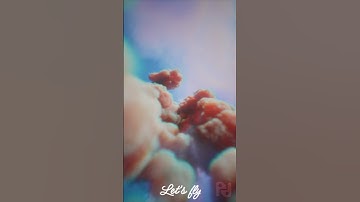 Unraveling the Houdini Cloud