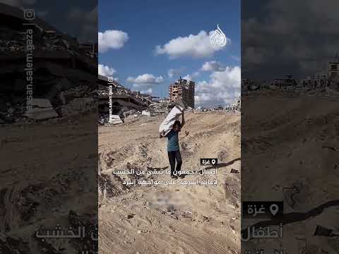 أطفال يجمعون ما تبقى من الخشب لإعانة أسرهم على مواجهة البرد