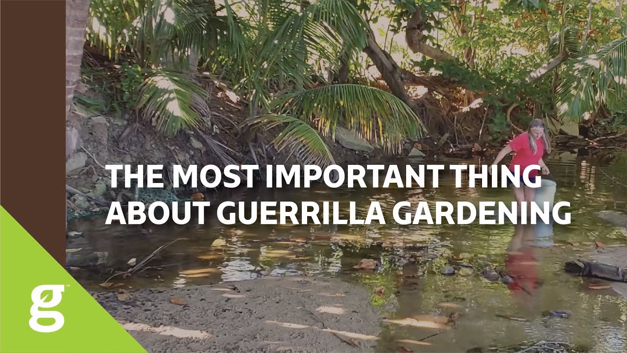 The Most Important Thing About Guerilla Gardening