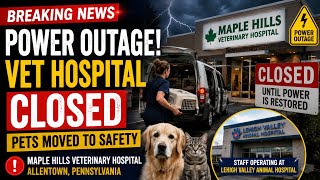 Emergency at Pennsylvania Vet Hospital After Sudden Power Outage! 🐶⚠️