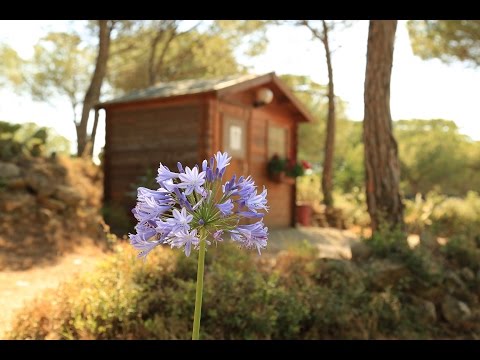 Video-thumbnail van Camping Figurotta