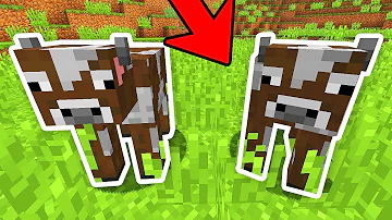 O que a vaca falou para outra vaca?