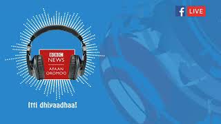 BBC Afaan Oromo Live Stream screenshot 4