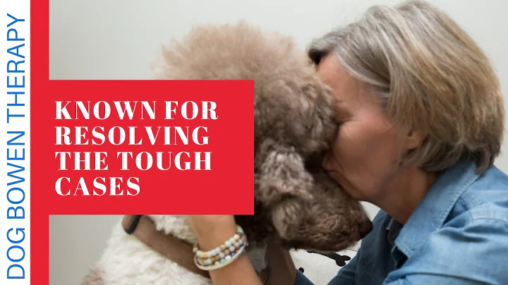 Niagara's best therapy for dogs. Dog Bowen Therapy...