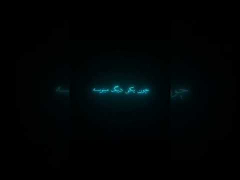 باورم نمیشه رفتم پیش سطلان امیر تتلو و باهاش اهنگ خوندم