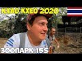 Таиланд Паттайя 2020 Зоопарк Кхао Кхео, самостоятельно или экскурсия, цены