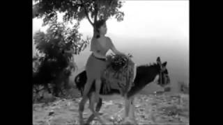 Download Lagu Gina Lollobriida MP3 Gina Lollobriida