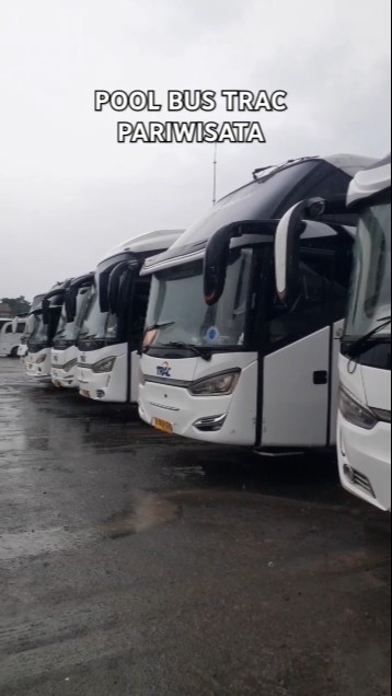 Pool Trac Bus Pool Bus Trac Pariwisata - YouTube