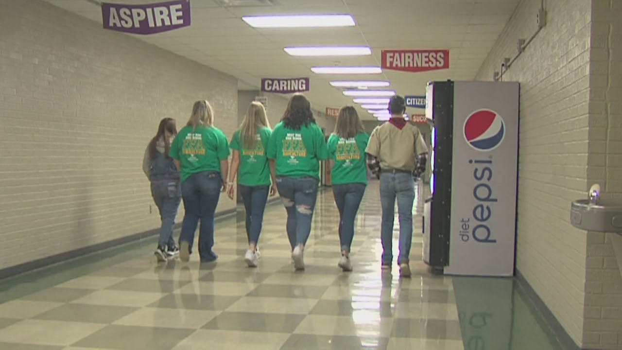 West Vigo Pantry origin story YouTube