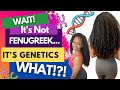 It&#39;s not FENUGREEK... It&#39;s Your Genetics! (Ummm... No!) #naturalhairgrowth #hairgrowth #fenugreek