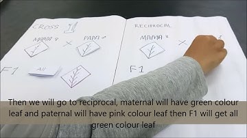 Extranuclear  inheritance - My mom