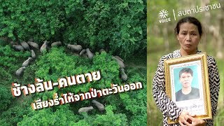 ช้างล้น-คนตาย เสียงร่ำไห้จากป่าตะวันออก