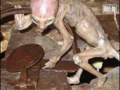 'baby'-alien-found-by-farmer-in-mexico---dna-tests-and-scans-baffles-scientists