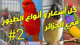 أسعار جميع انواع الطيور في الجزائر / أسعار  خيالية